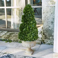 Deko-Baum Humbria Deko-Baum Humbria