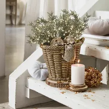 Übertopf Gabriel Übertopf Gabriel