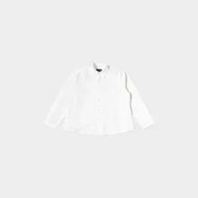 Tulpe Bombardiere Tulpe Bombardiere