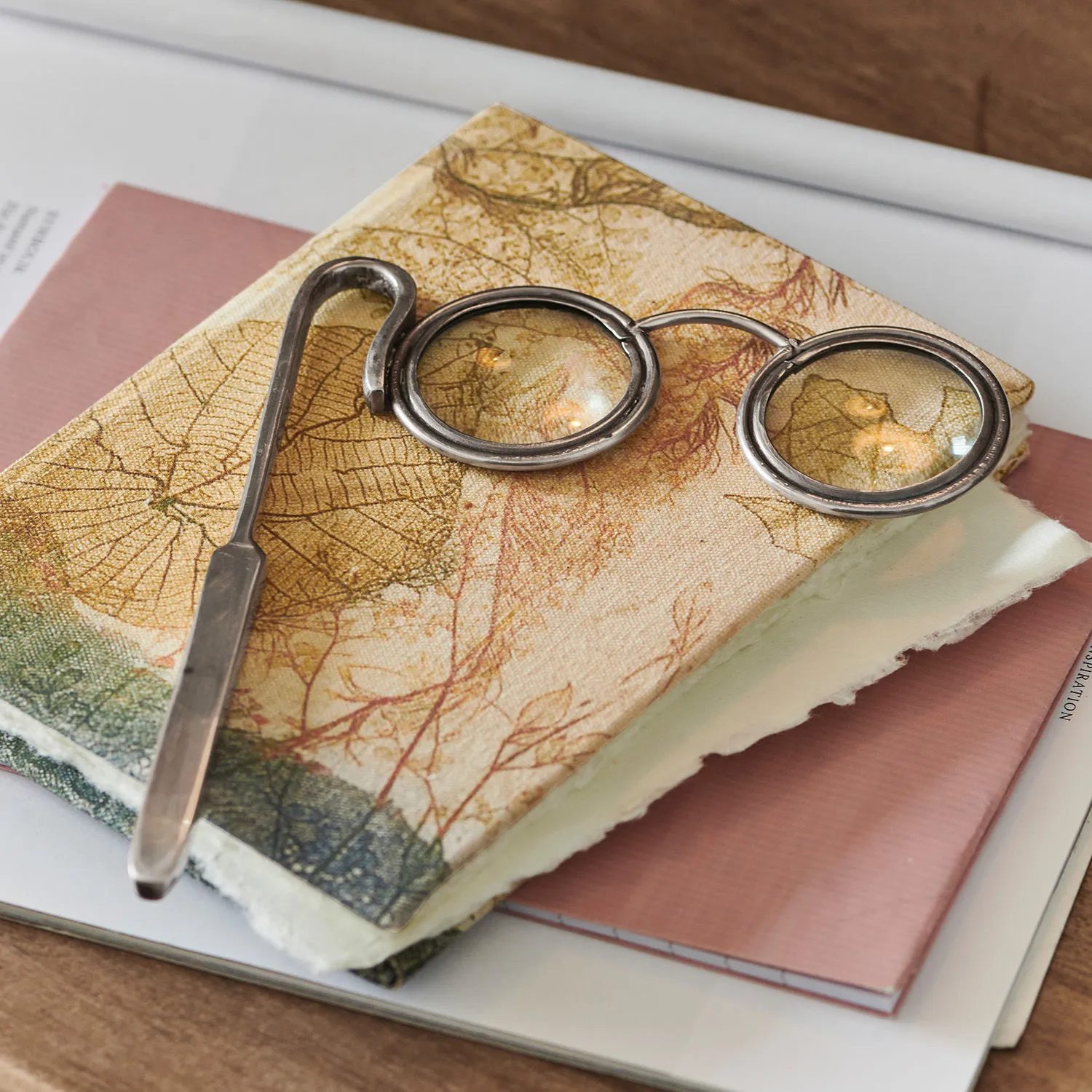 Lupe Robert – Bild 4