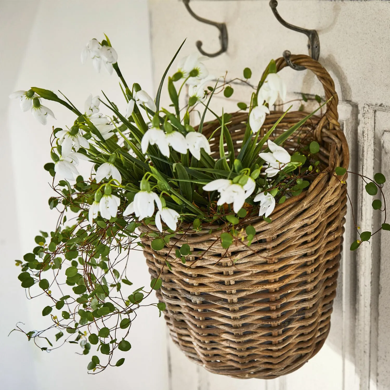 Korb Korovu – Bild 4