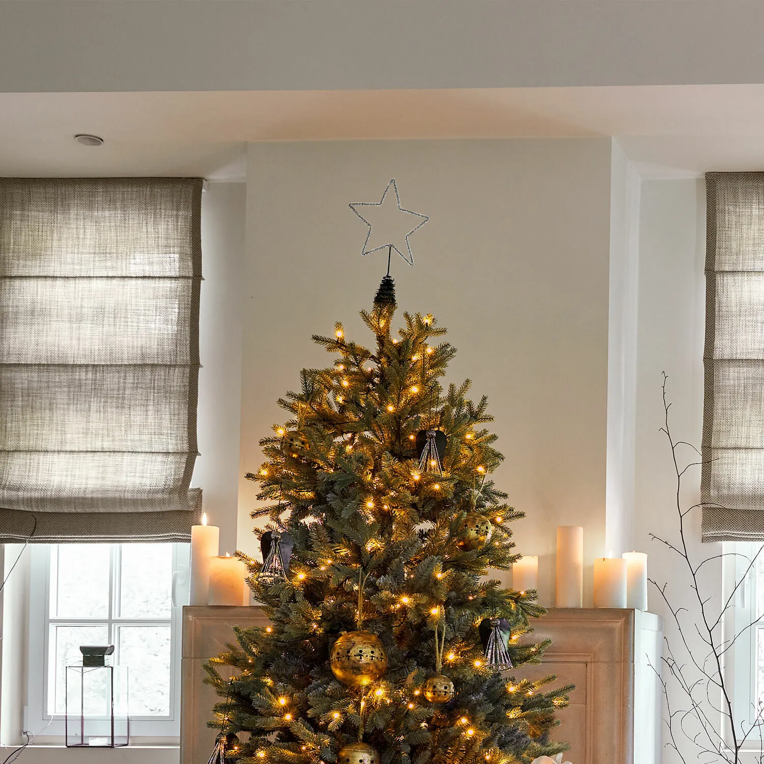 Baumspitze Nobiletto – Bild 2