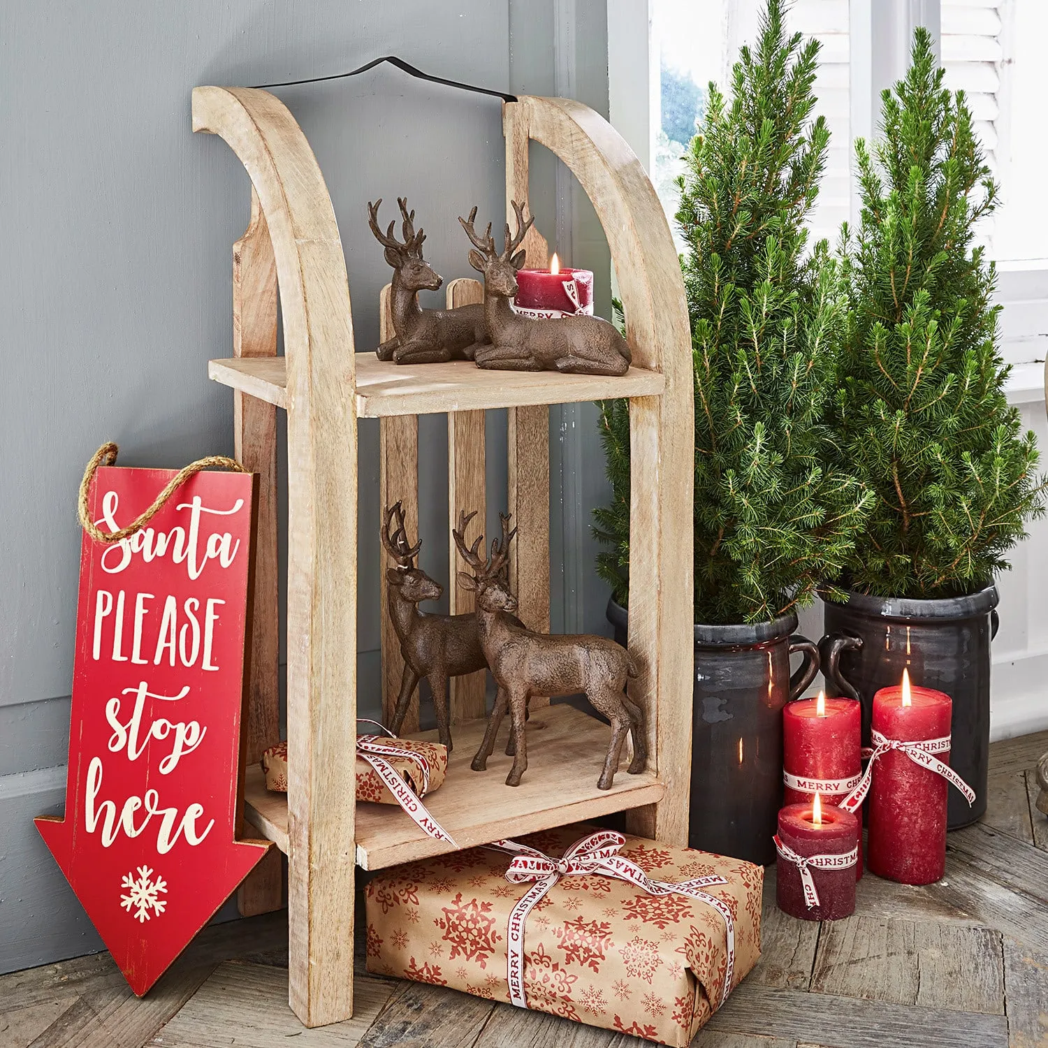 Regal Renier – Bild 2