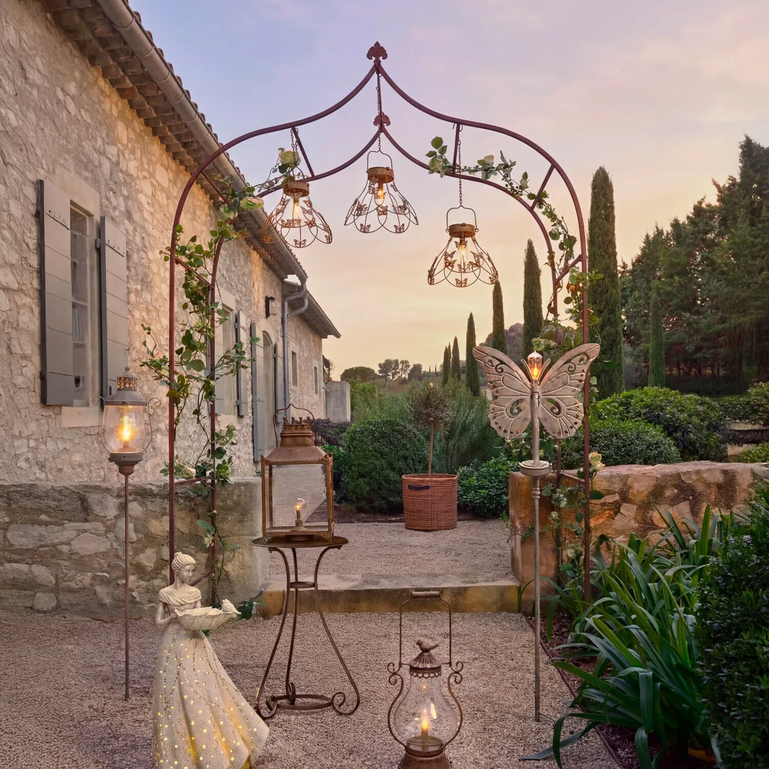 Rosenbogen Dimarus – Bild 2