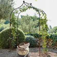 Rosenbogen Dimarus Rosenbogen Dimarus