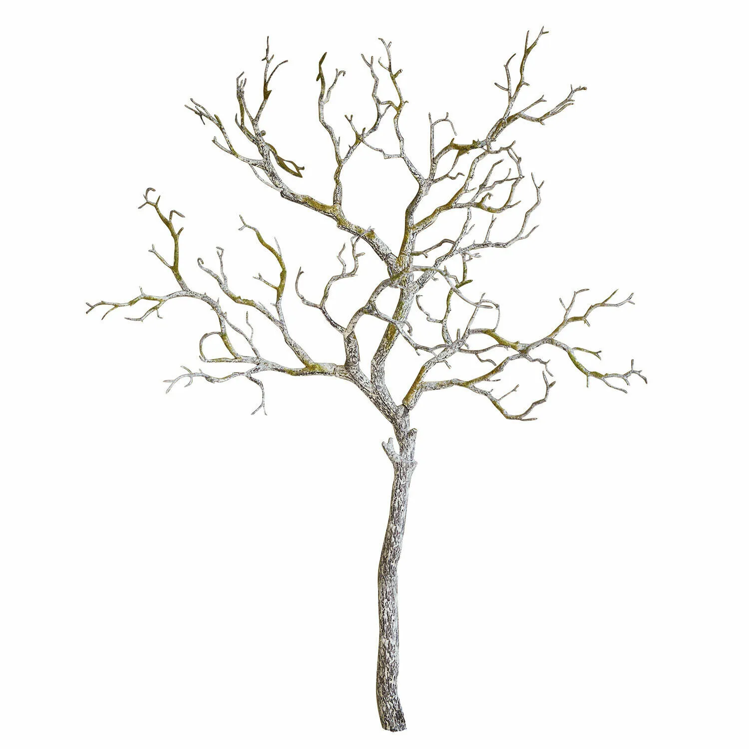 Deko-Zweig Orélie – Bild 3