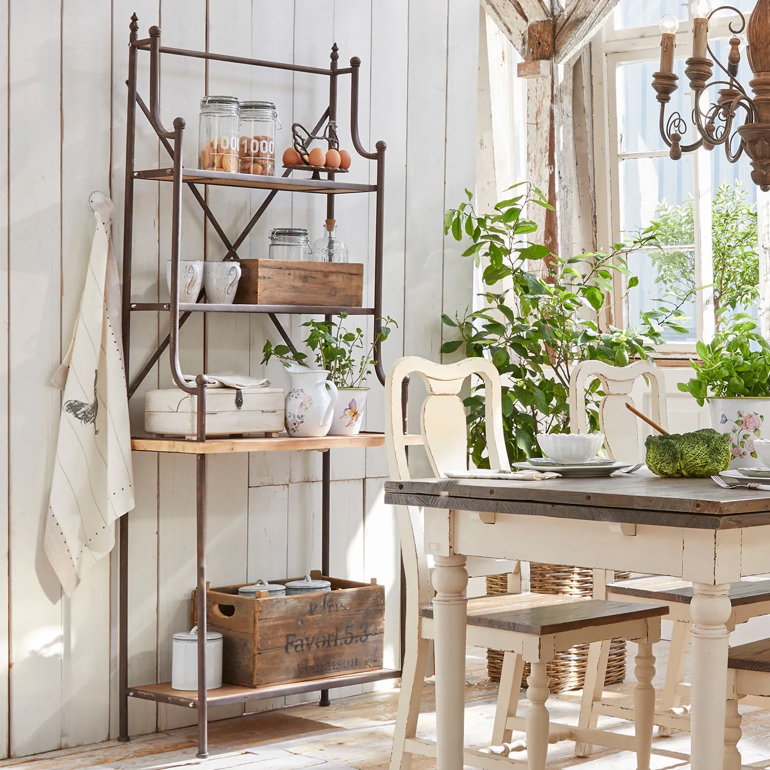 Regal Newton Regal Newton