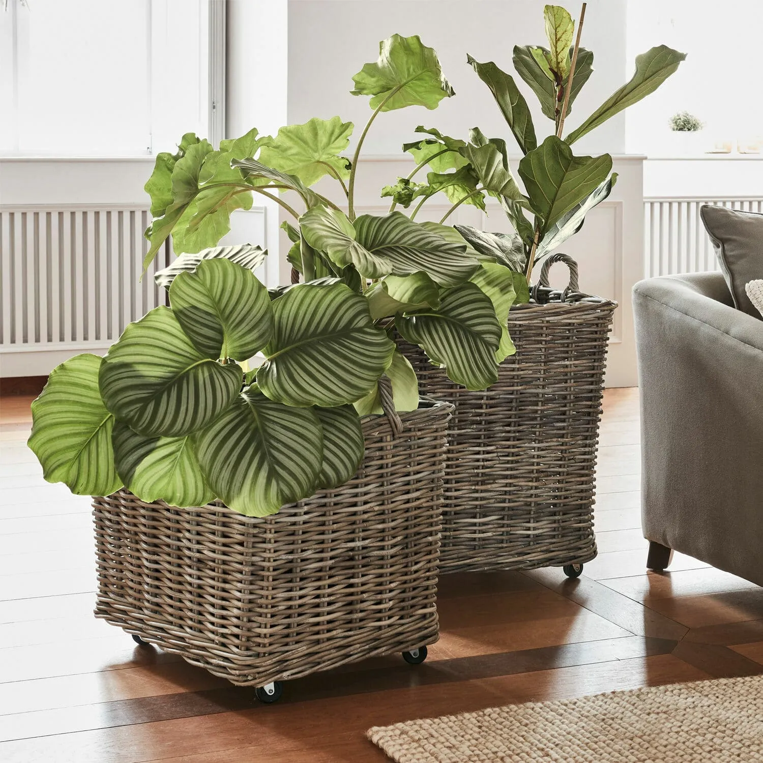 Pflanzkorb 2er Set Gialousa – Bild 2