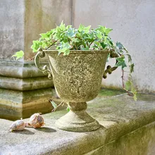 Amphore Ivyridge Amphore Ivyridge