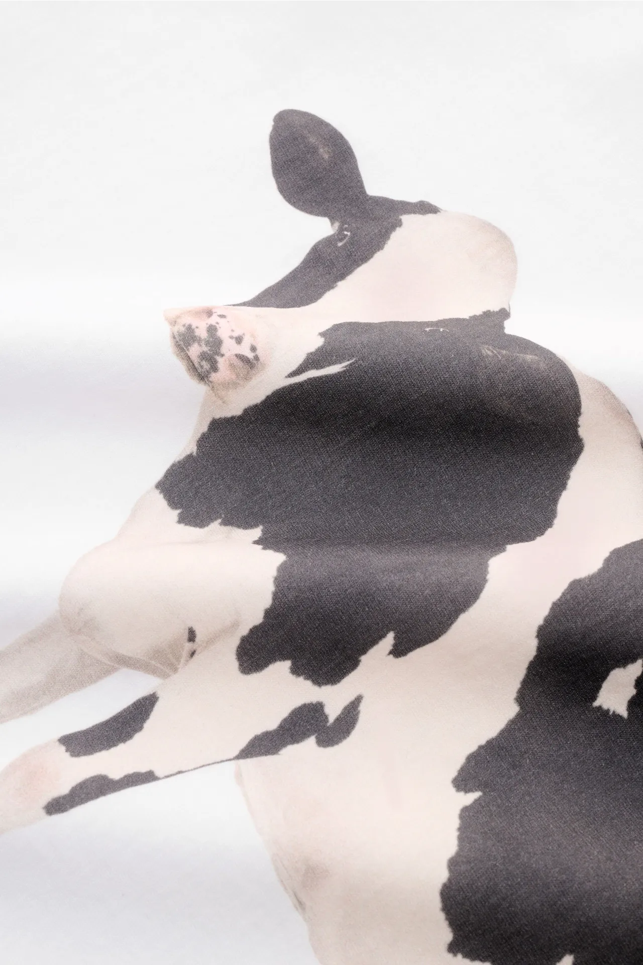 Barbour - Herren - Rundhals-T-Shirt weiß – Bild 4