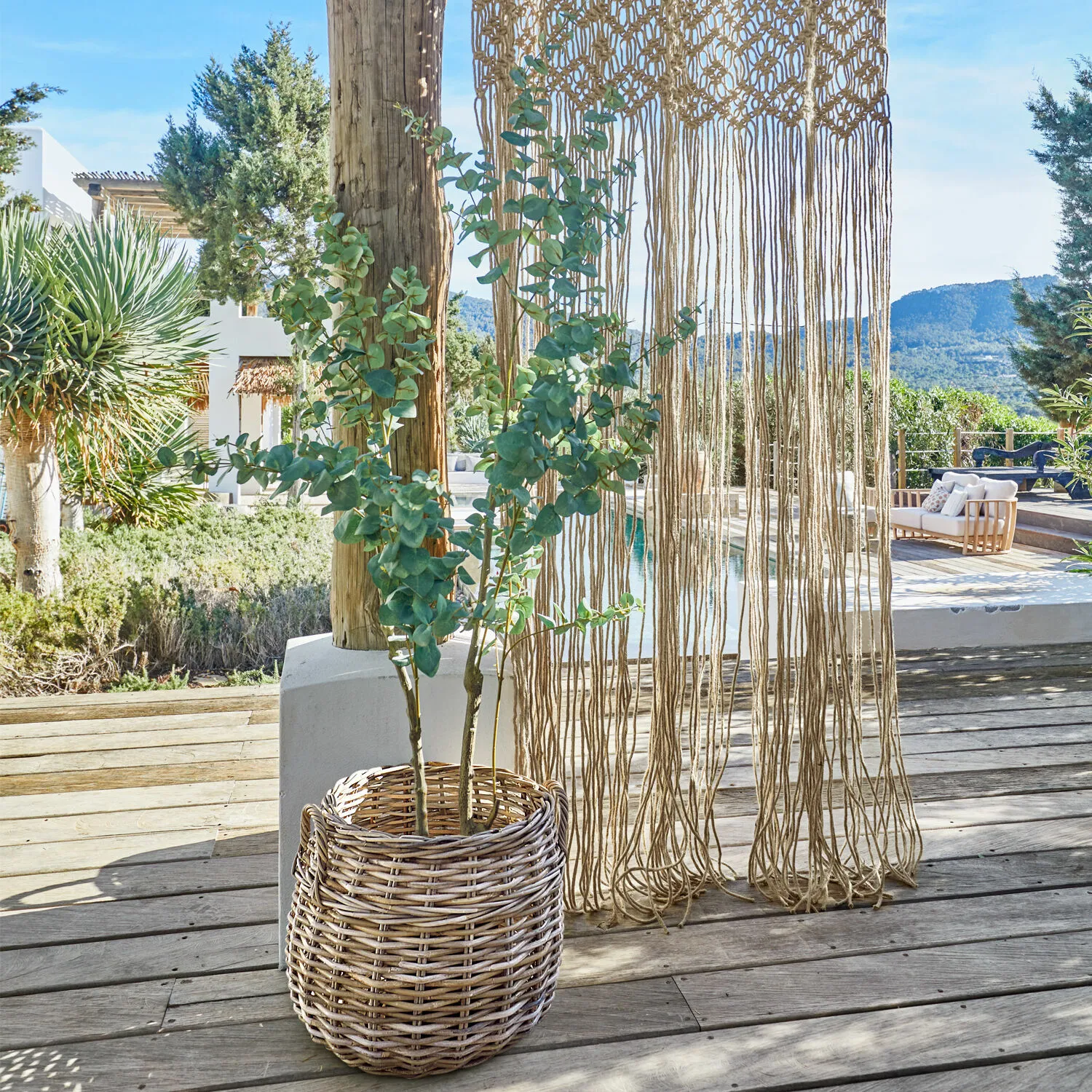 Deko-Topfpflanze Dorevi – Bild 4