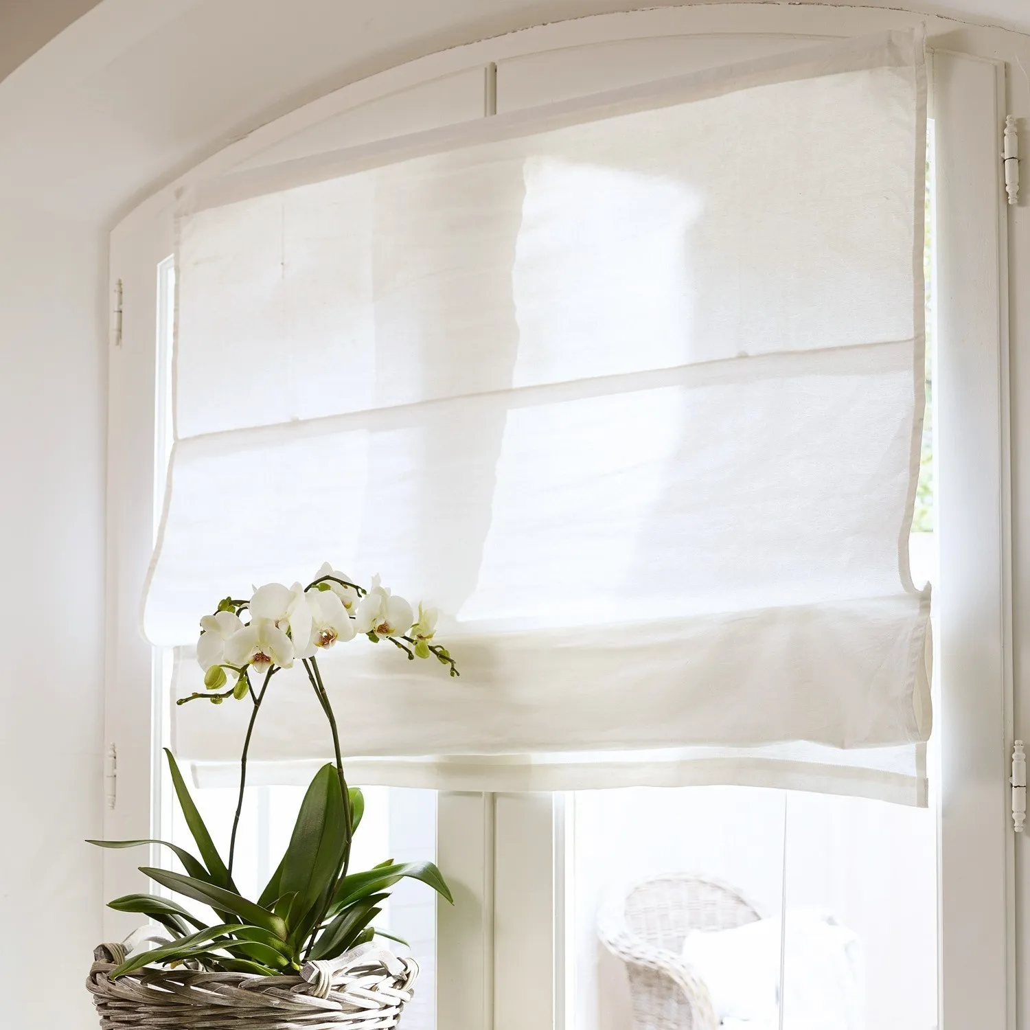 Faltrollo Fides – Bild 4