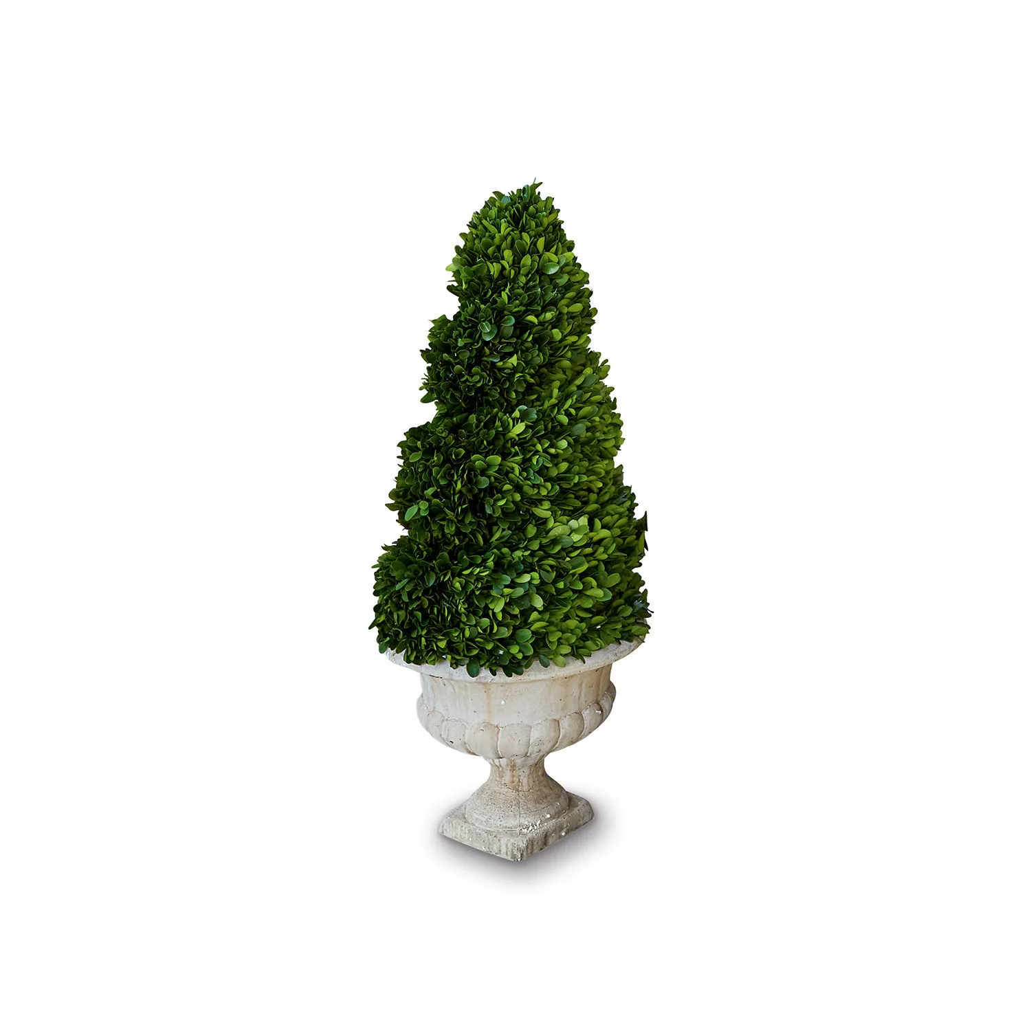 Deko-Baum Humbria – Bild 3