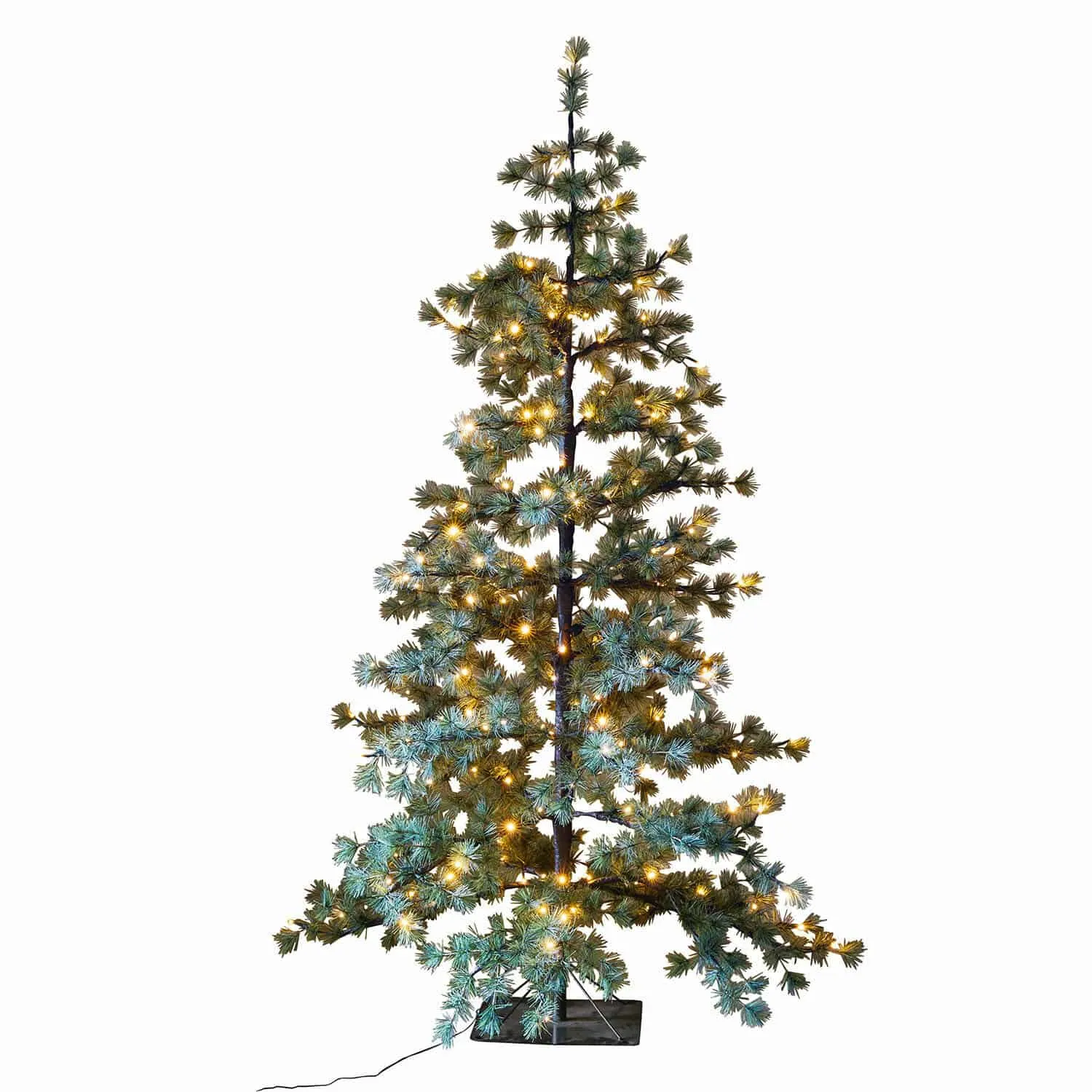 Weihnachtsbaum Sapi – Bild 3