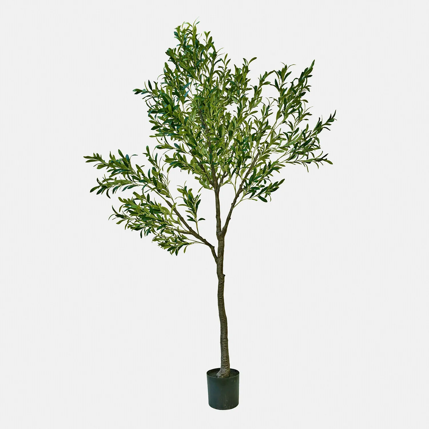 Deko-Olivenbaum Faelira – Bild 3