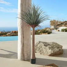 Deko-Palme Remivon Deko-Palme Remivon