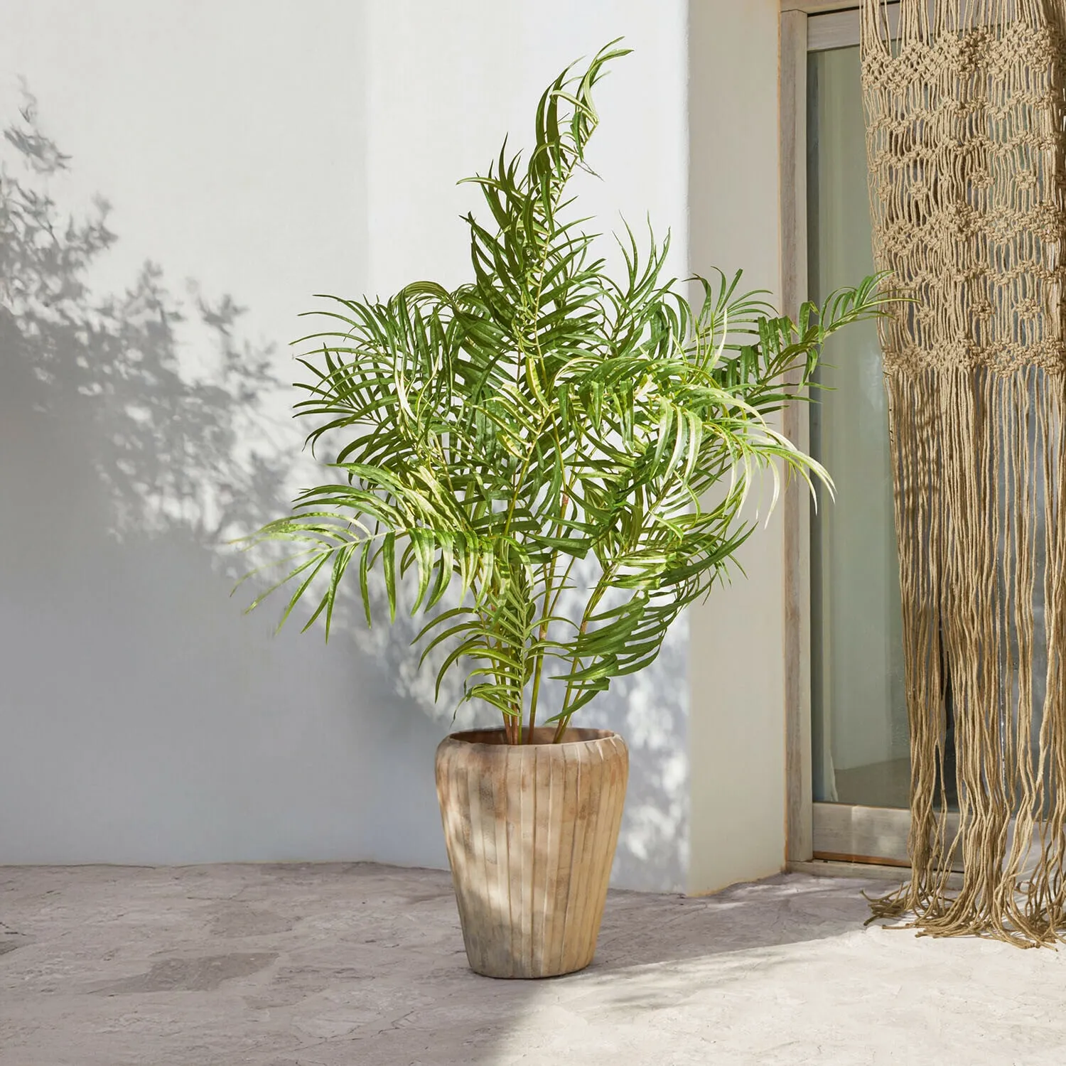 Deko-Palmenplanze Mersina – Bild 2