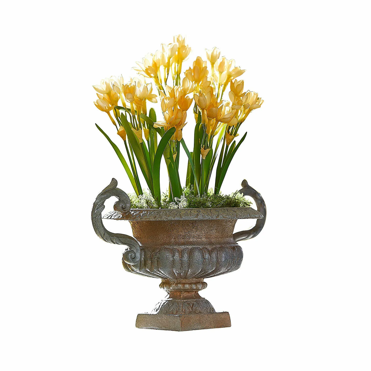 Amphore Iverlon – Bild 3