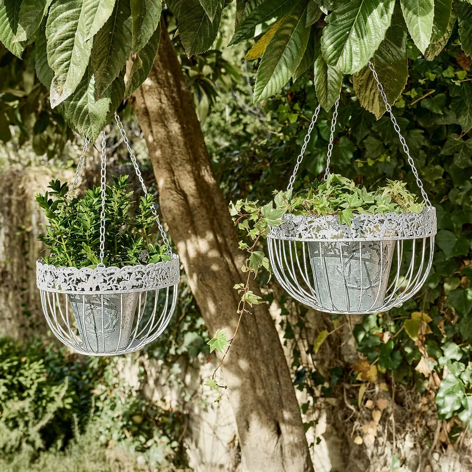 Hängekorb 2er Set Iveralia – Bild 2