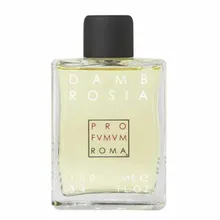 Profumum Roma Dambrosia Eau De Parfum Spray 100ml Profumum Roma Dambrosia Eau De Parfum Spray 100ml