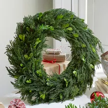 Kranz Dahab Kranz Dahab