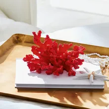 Deko-Koralle Reddish Deko-Koralle Reddish