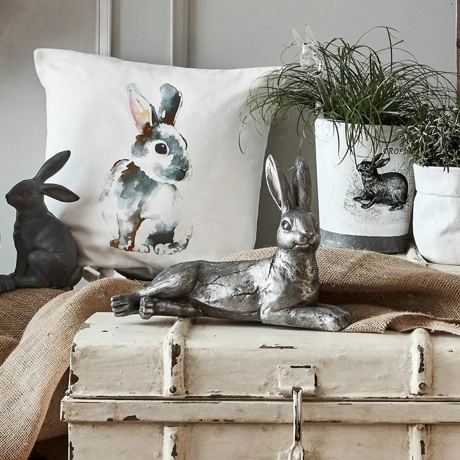 Hase Fiorentin – Bild 4