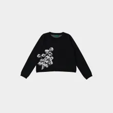 Seepferd Pansy Seepferd Pansy