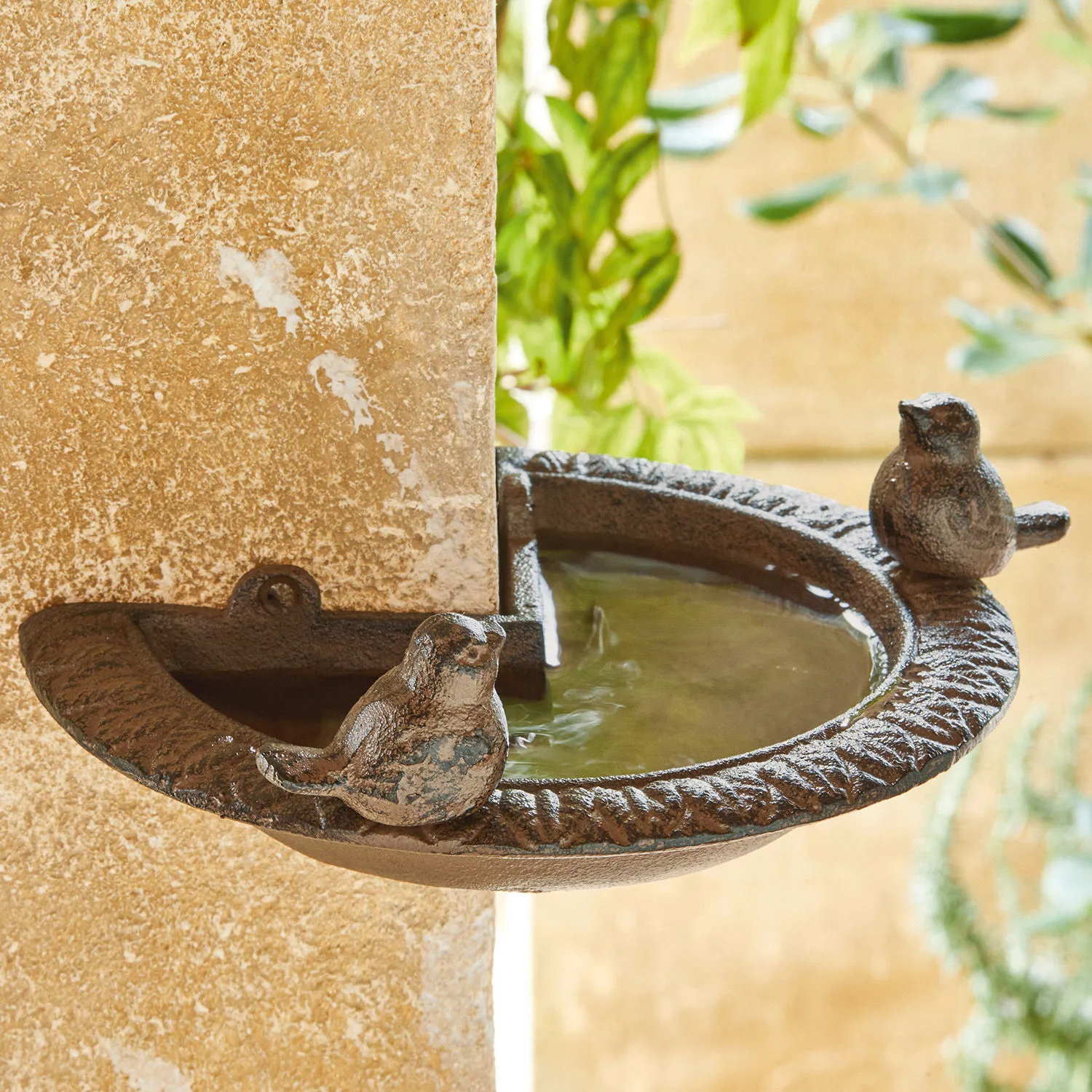 Vogeltränke Laver – Bild 2