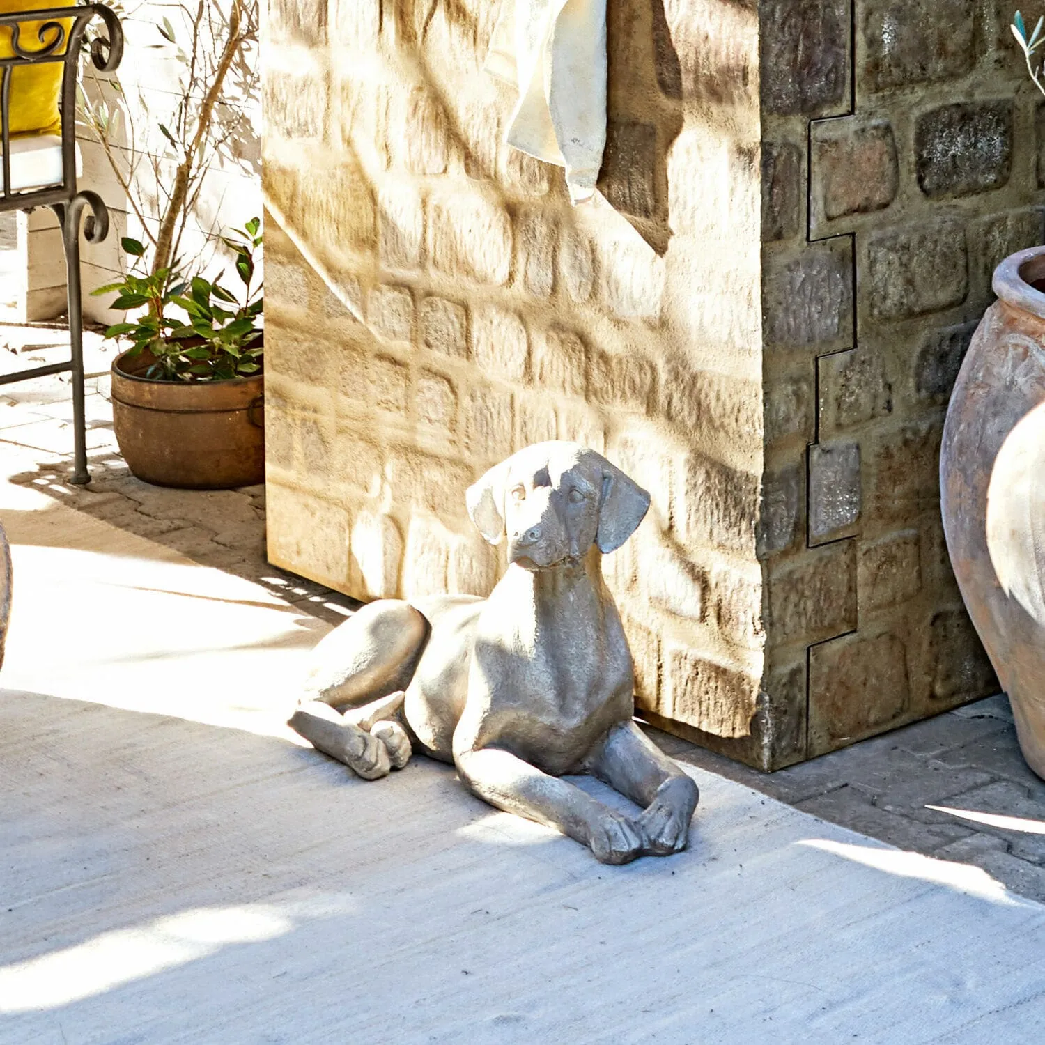 Hund Socrate – Bild 5