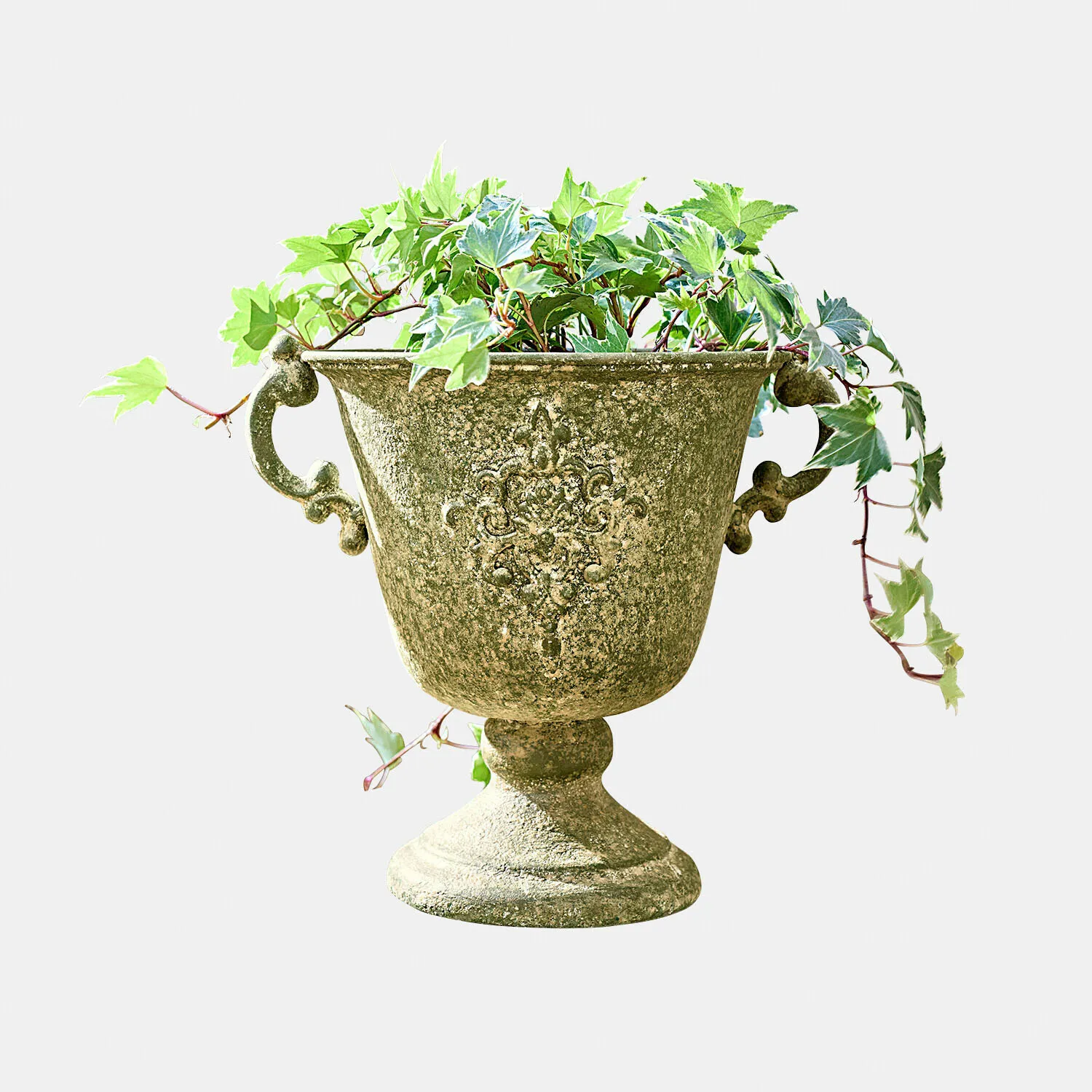 Amphore Ivyridge – Bild 3