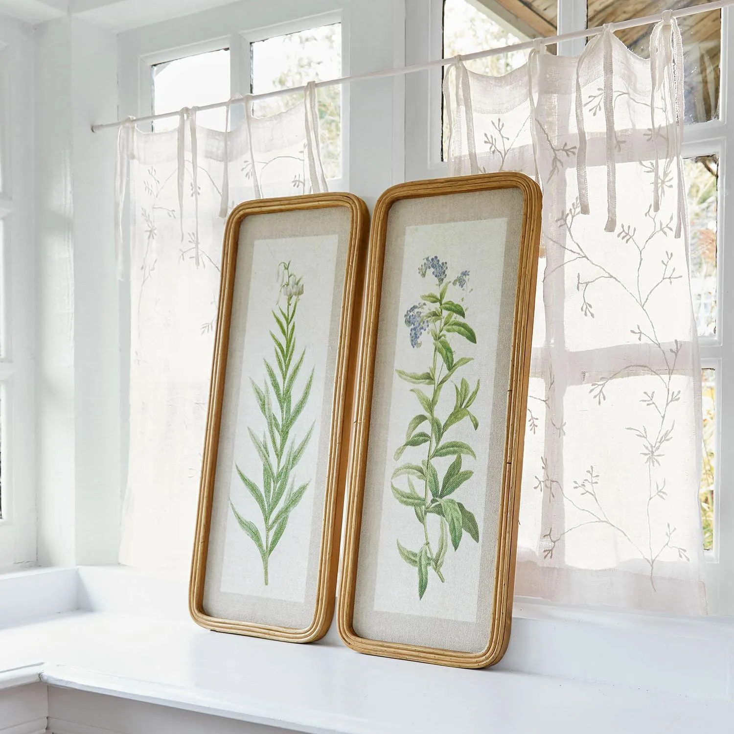 Bild 2er Set Cenori – Bild 4