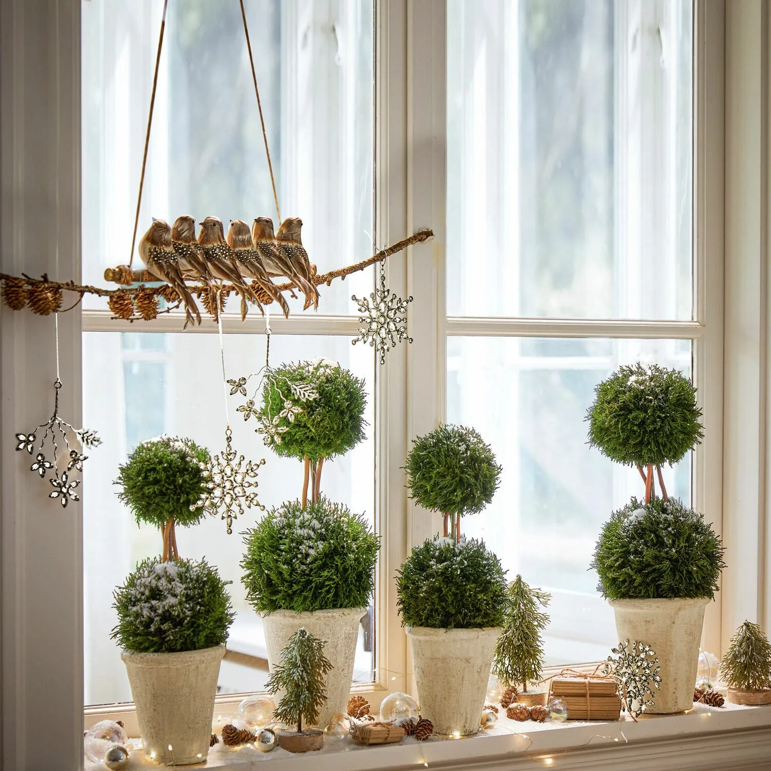 Ast mit Vögeln Orely – Bild 2