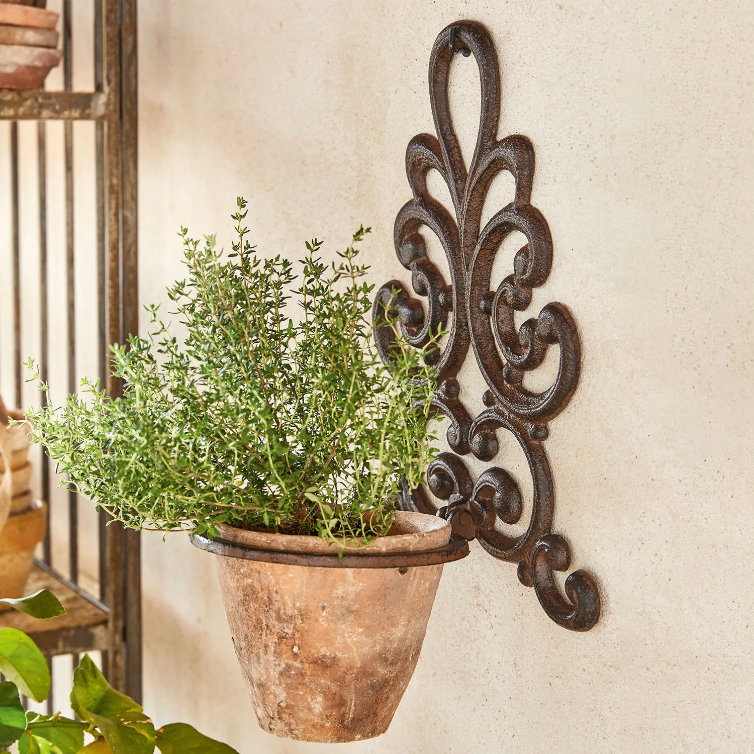 Pflanztopfhalter Cecile – Bild 2