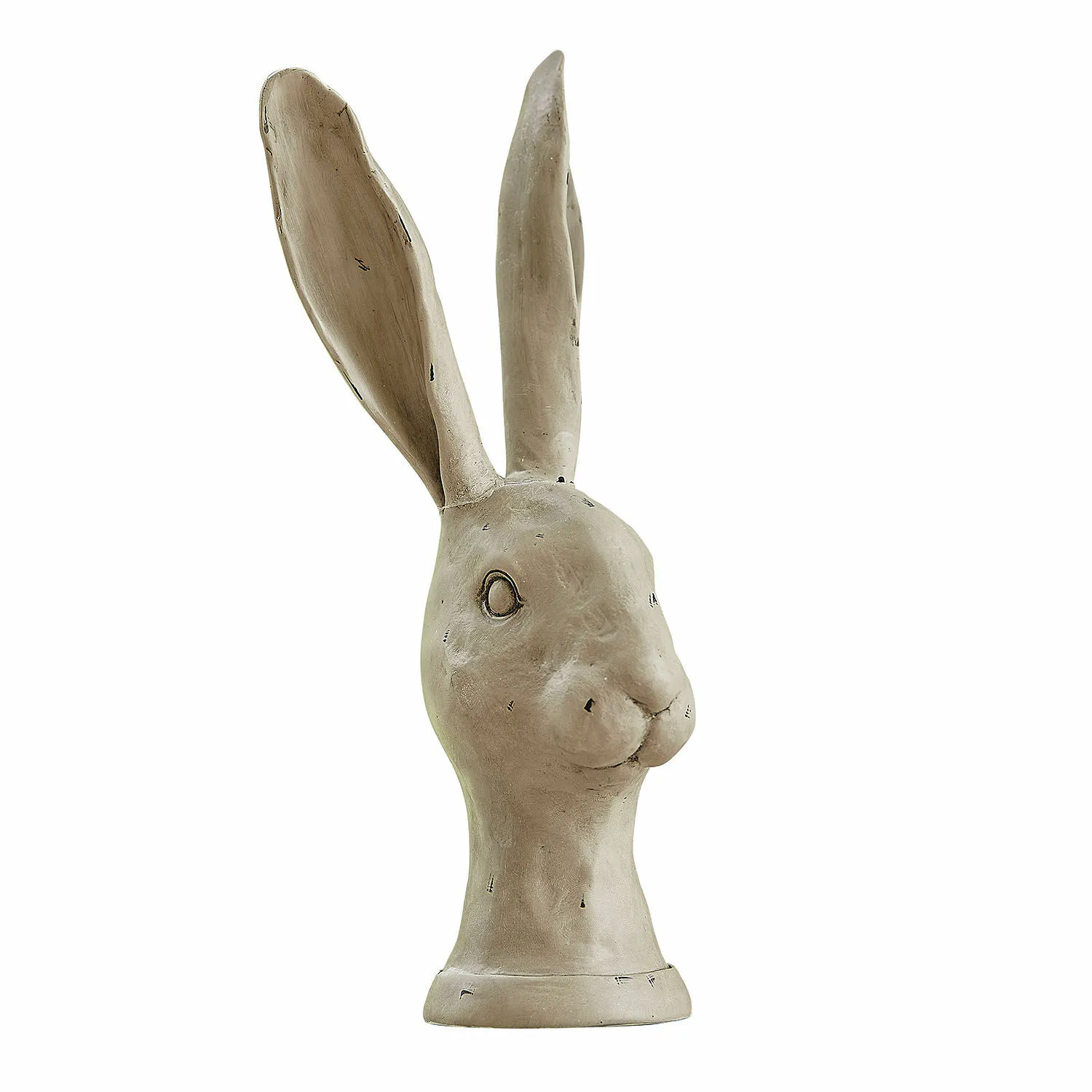 Hase Najirah – Bild 3