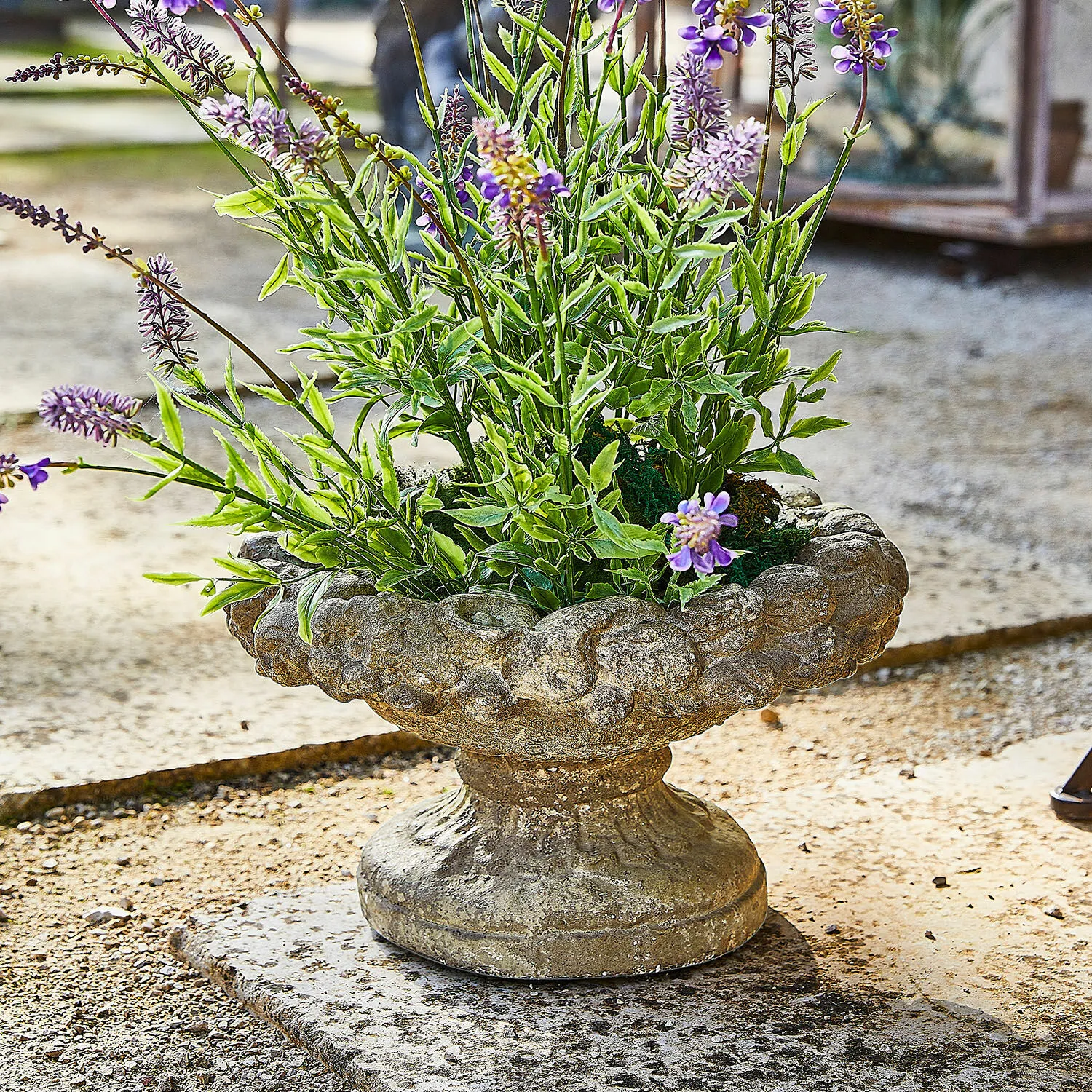 Amphore Bellivon – Bild 2