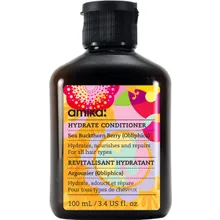 Amika Hydrate Conditioner 100 ml Amika Hydrate Conditioner 100 ml