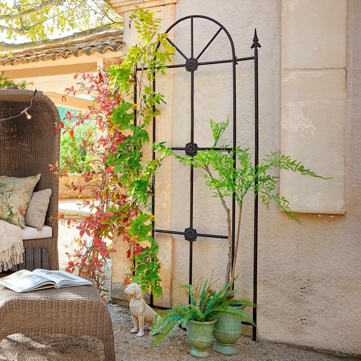 Rankhilfe Silvexon – Bild 4