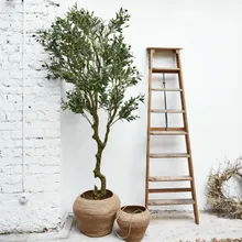 Deko-Topfpflanze Dambly Deko-Topfpflanze Dambly