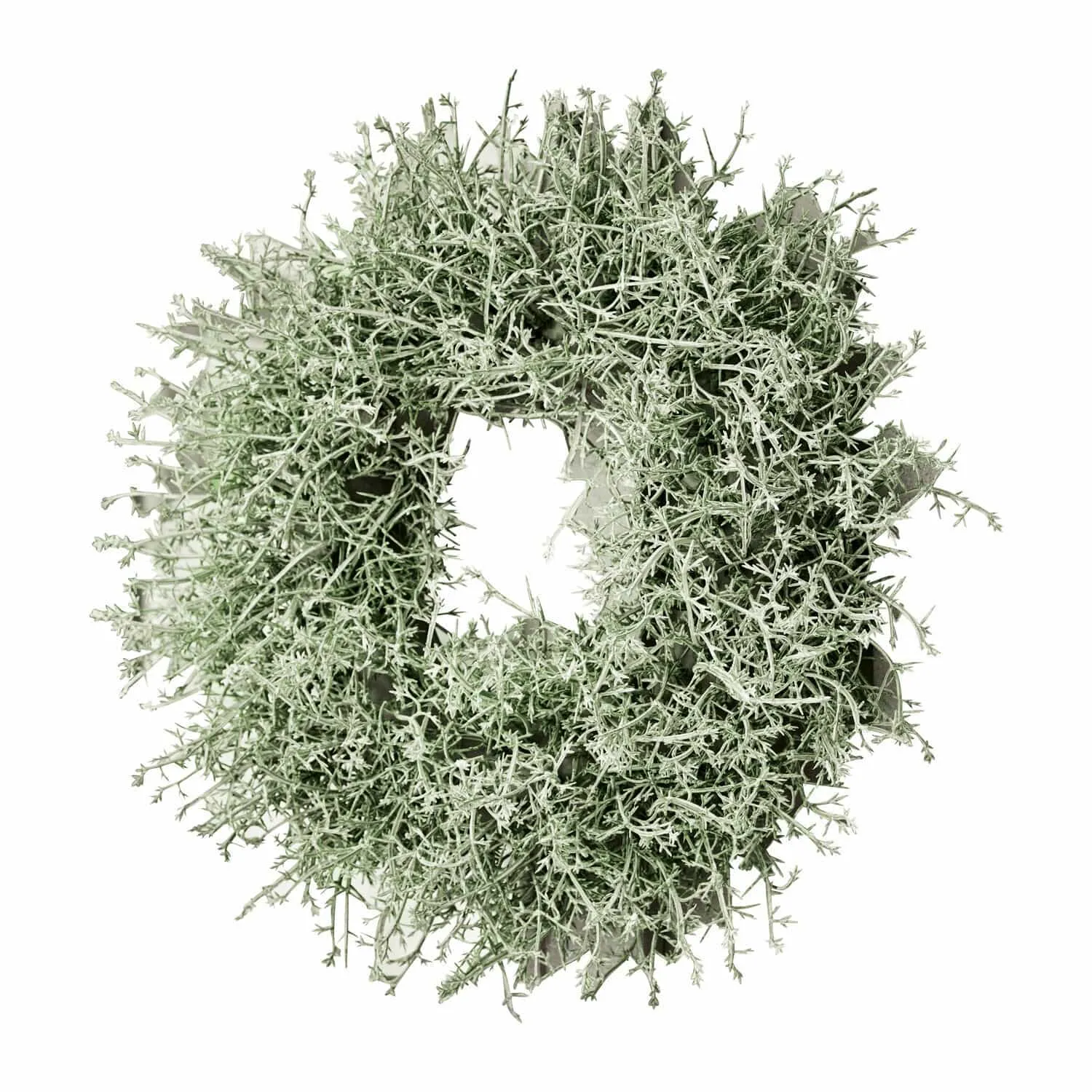 Kranz Senailly – Bild 3