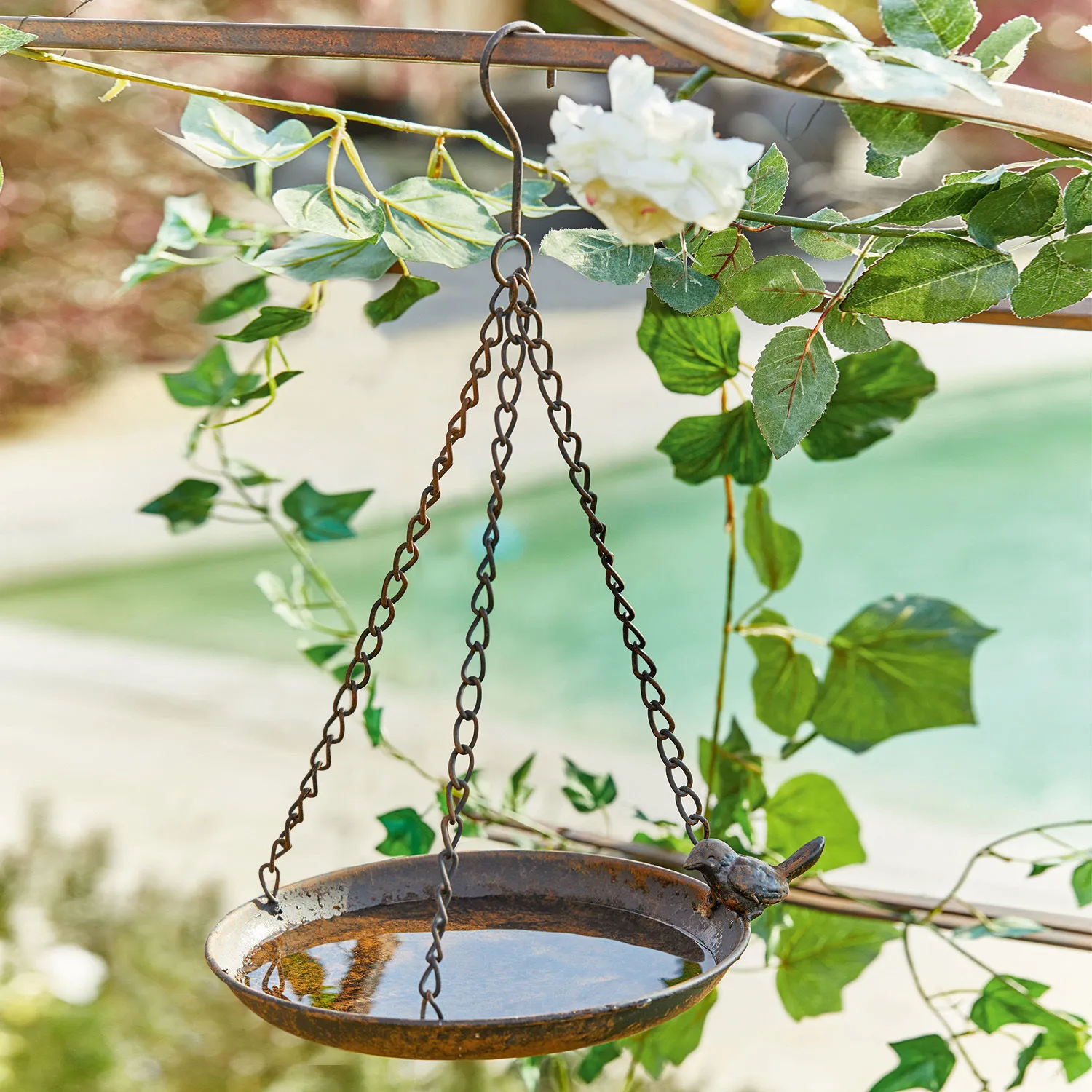 Vogeltränke Britta Vogeltränke Britta