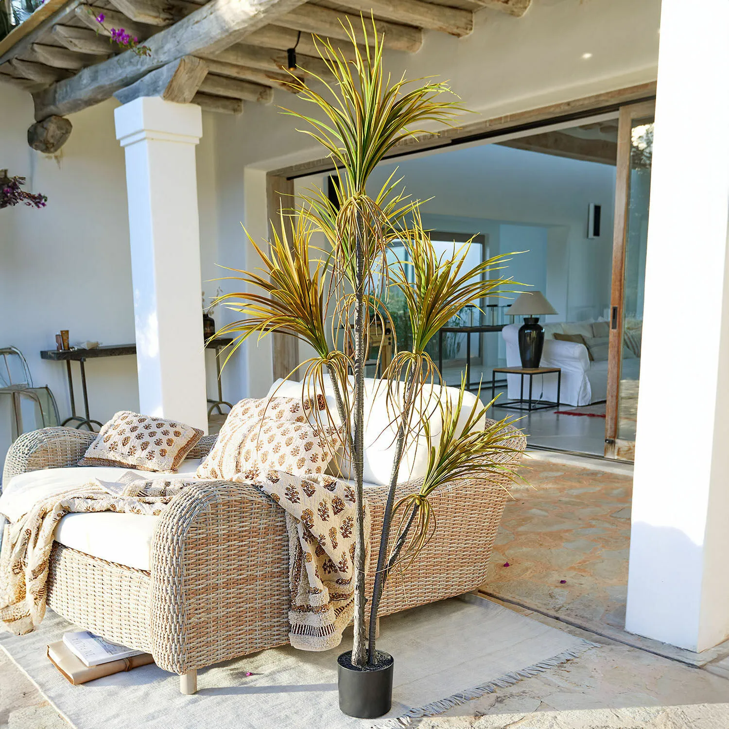 Deko-Topfpflanze Ancerac – Bild 2