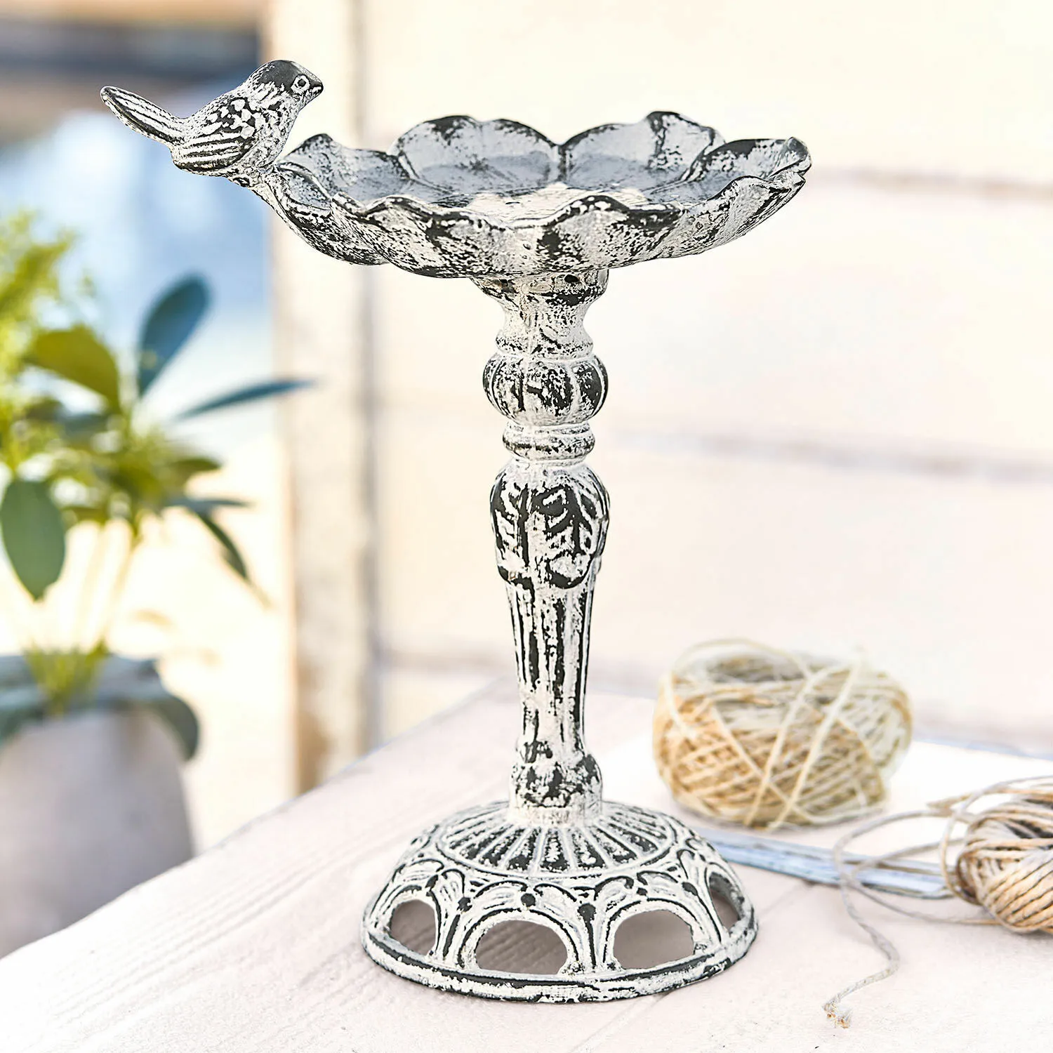 Vogeltränke Petrofani – Bild 2