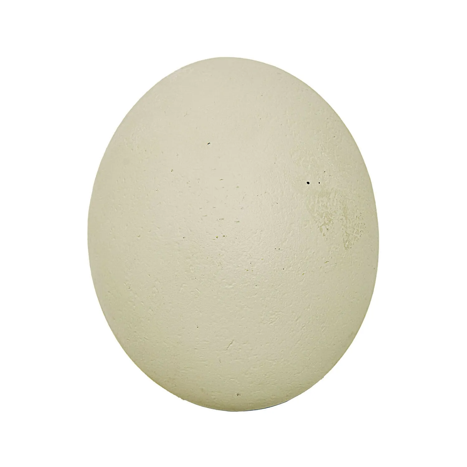 Deko-Ei Fauverine – Bild 3