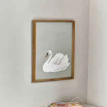 Bild Cariella Bild Cariella