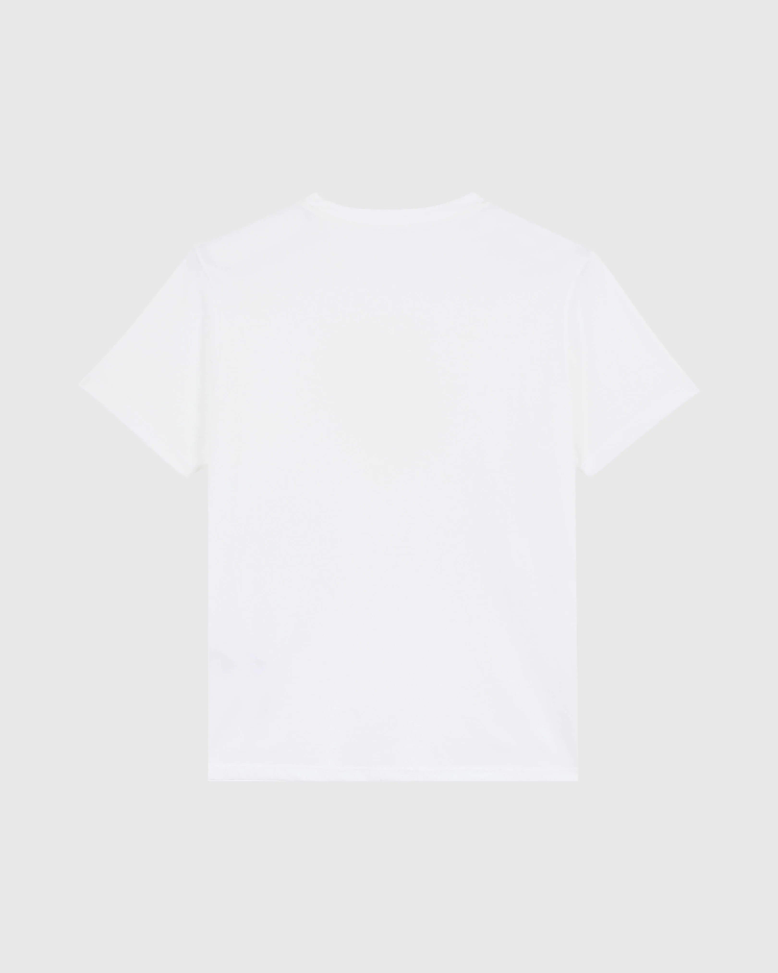 Vilebrequin - T-shirt Aus Baumwolle Mit Farblich Passender Schildkrötenstickerei Für Herren - T-shirt - Portisol - Weiss - Größe L – Bild 2