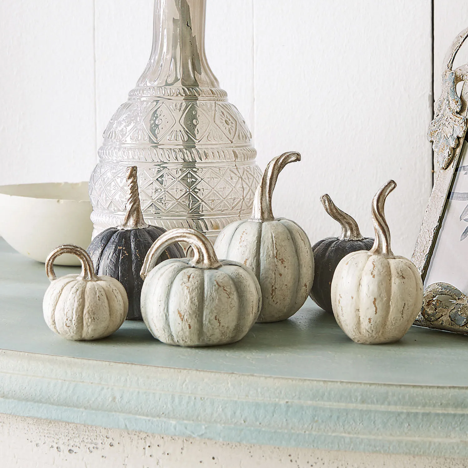 Kürbis 6er Set Yokane – Bild 2