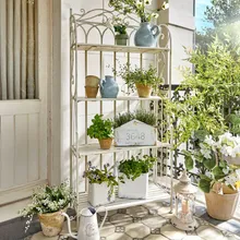 Regal Cruis Regal Cruis