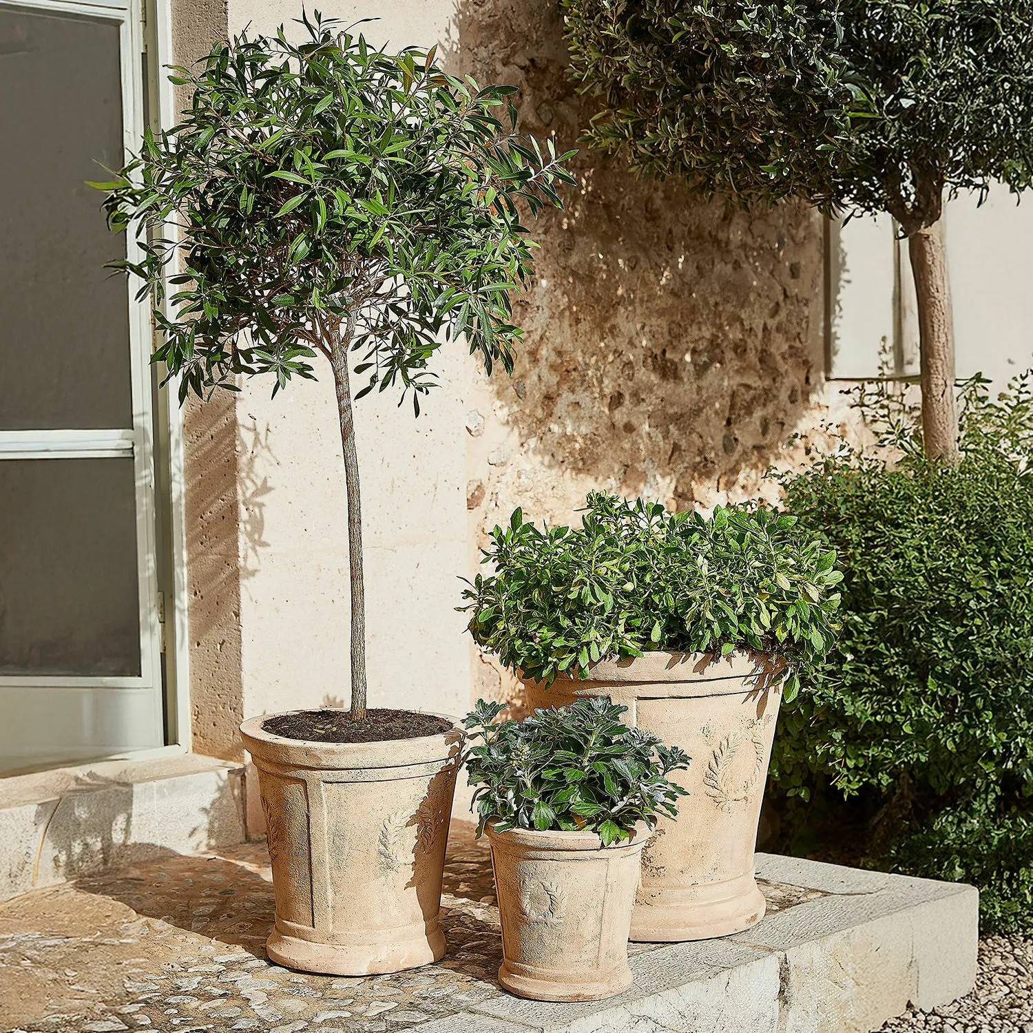 Übertopf 3er Set Nesrin – Bild 2