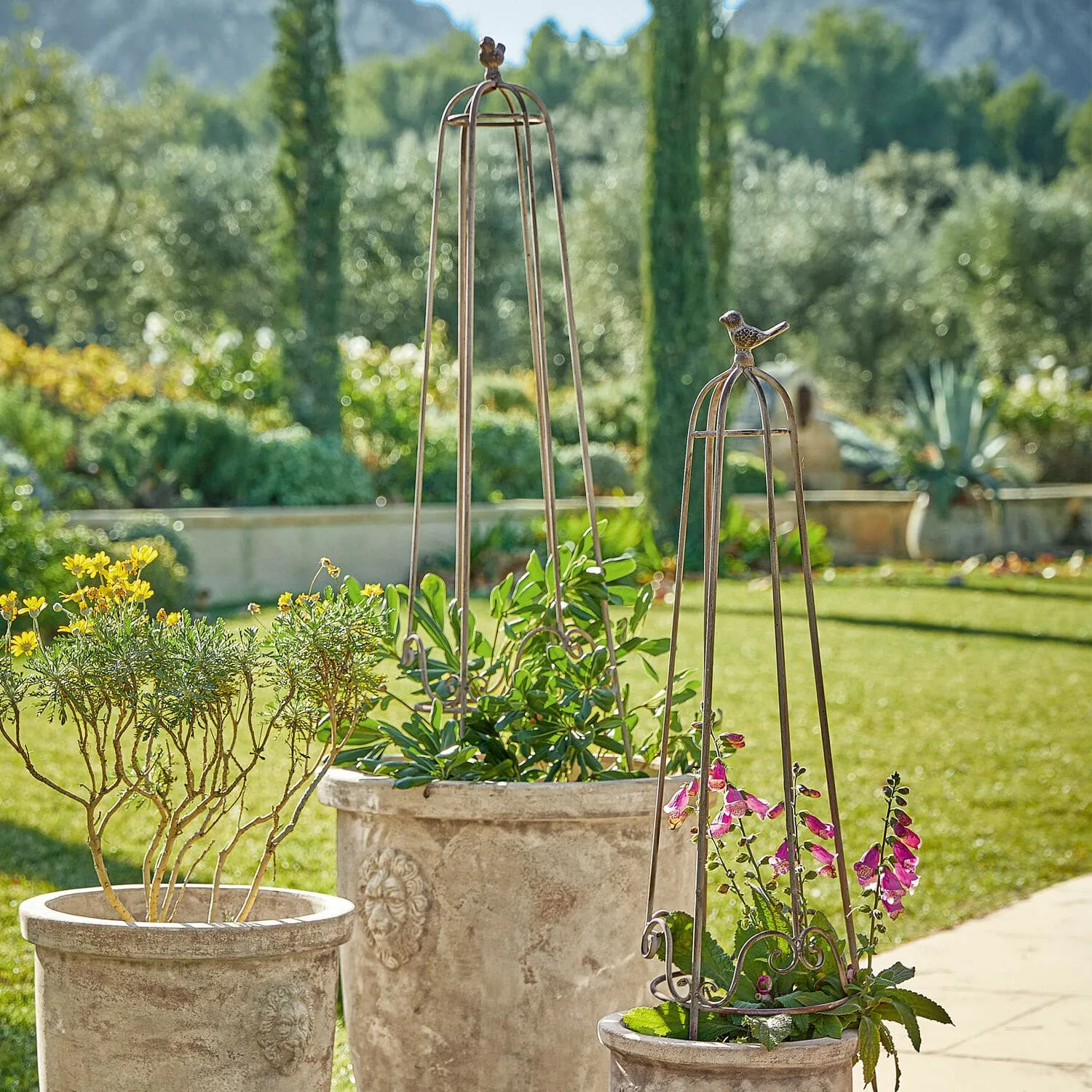 Rankhilfe 2er Set Orianne – Bild 2